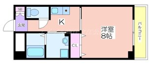 ラシーヌ御崎の物件間取画像